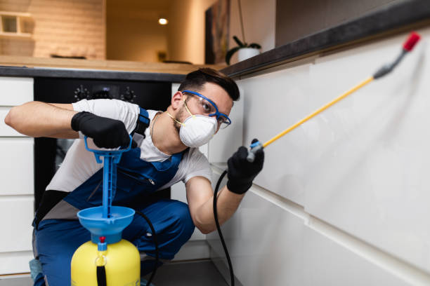 Professional Pest Control in St Albans, VT