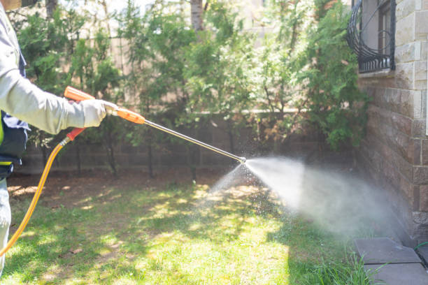 Pest Control for Restaurants in St Albans, VT