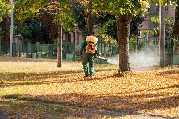 Best Best Pest Control Companies  in St Albans, VT